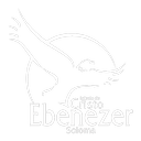 Ebenezer Soloma